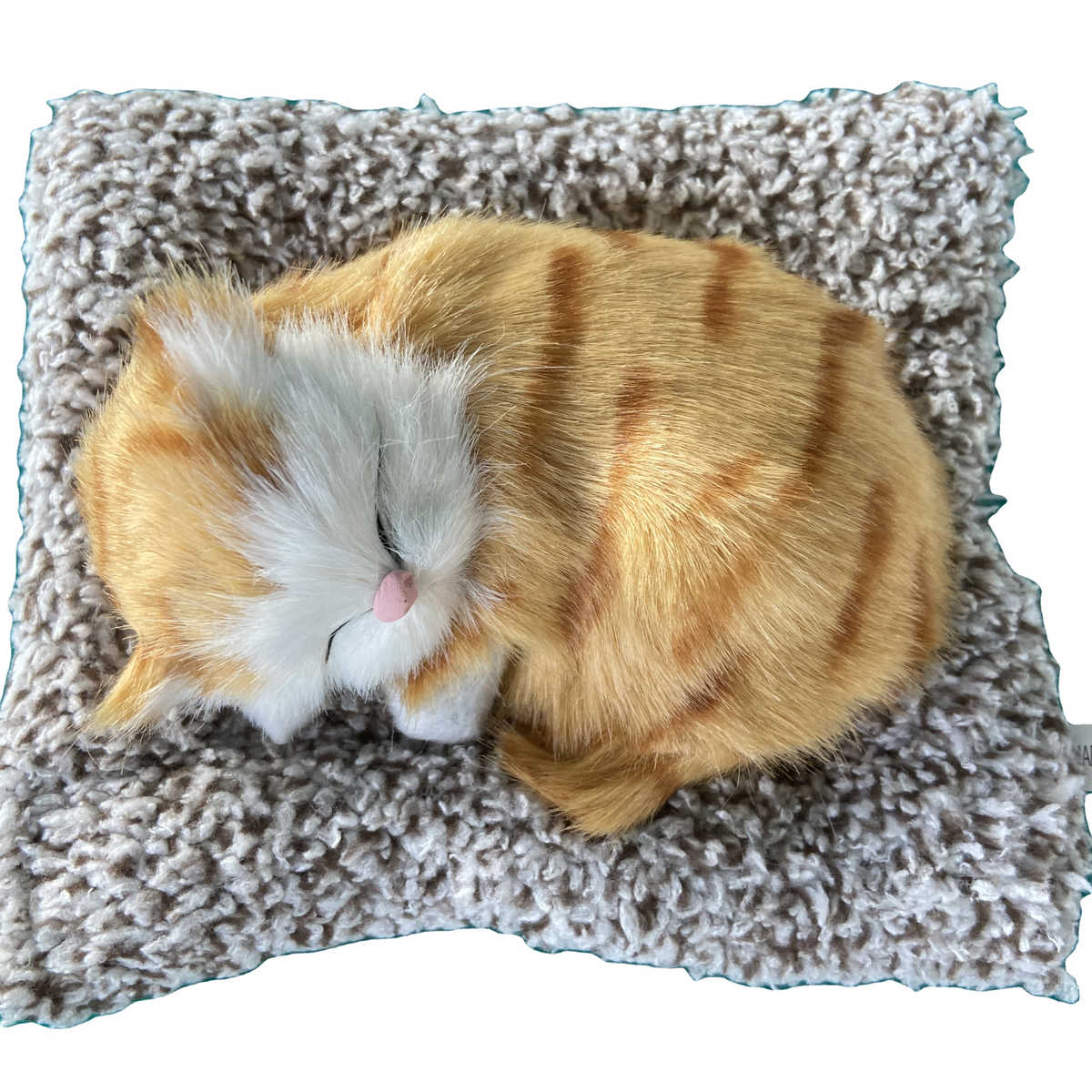 SnoozePaws Dashboard Buddy