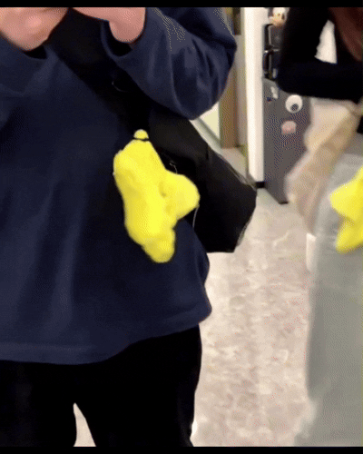 Rechargeable Angry Starfish Plush Stuffed Toy